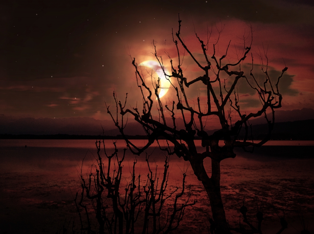 Notte di luna