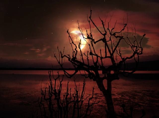 Notte di luna