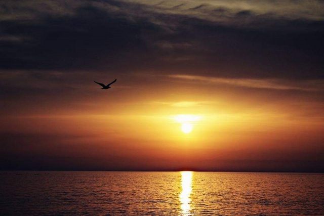 I COLORI DEL SOLE