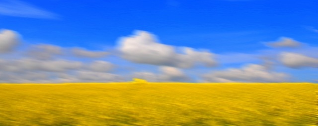 Colori in natura