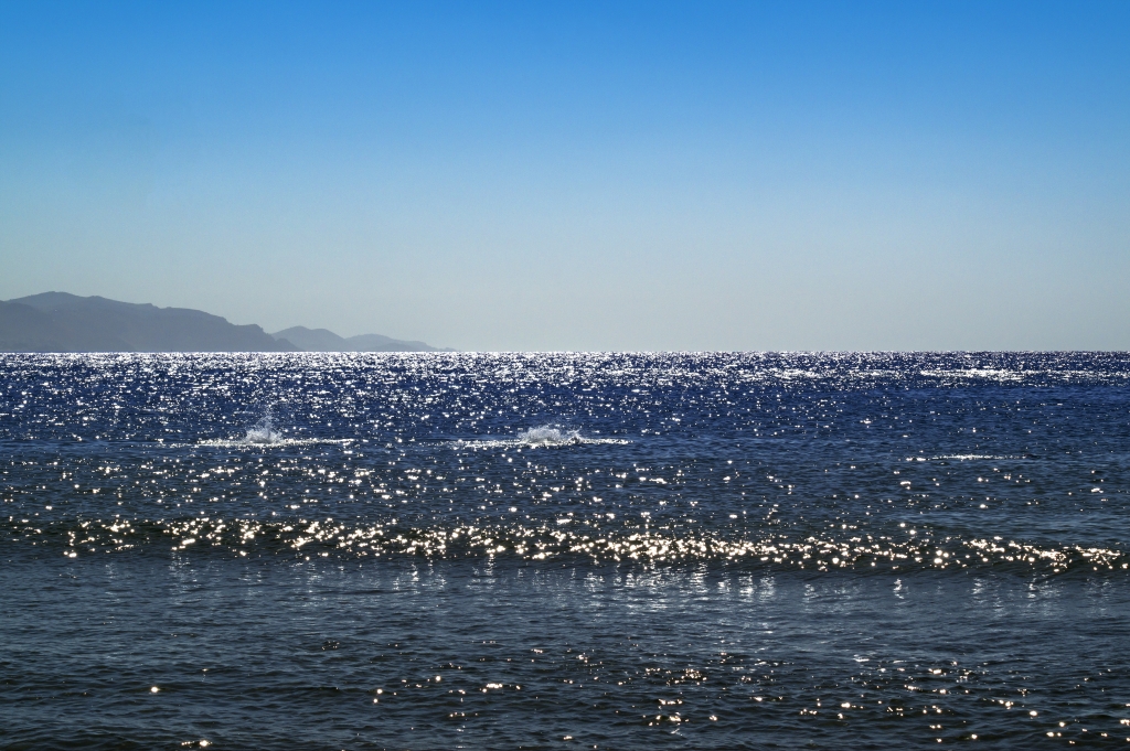 Bluccicare il mare che luccica di BLU