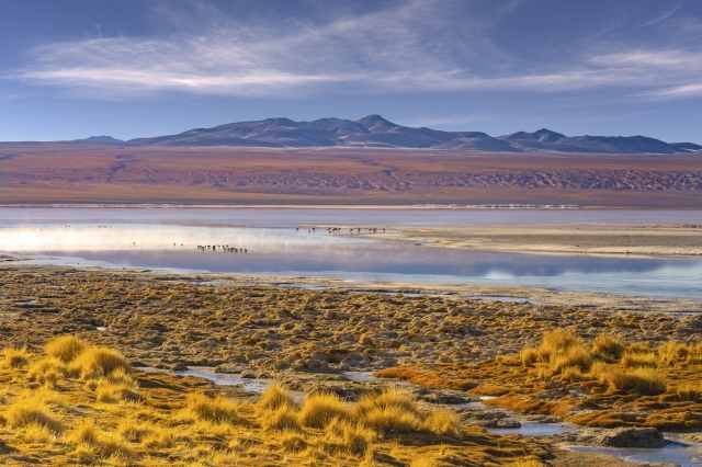 View of the red Laguna Colorada in Eduardo Avaroa National Park,