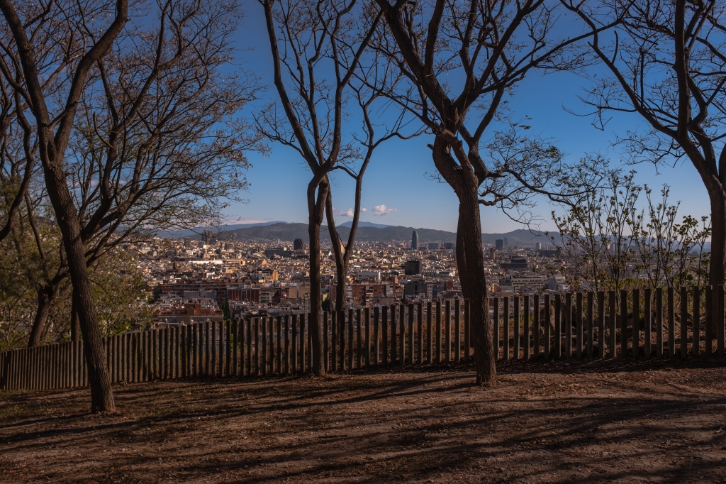 Unusual view of Barcelona city from M. J. Verdaguer's gardens.