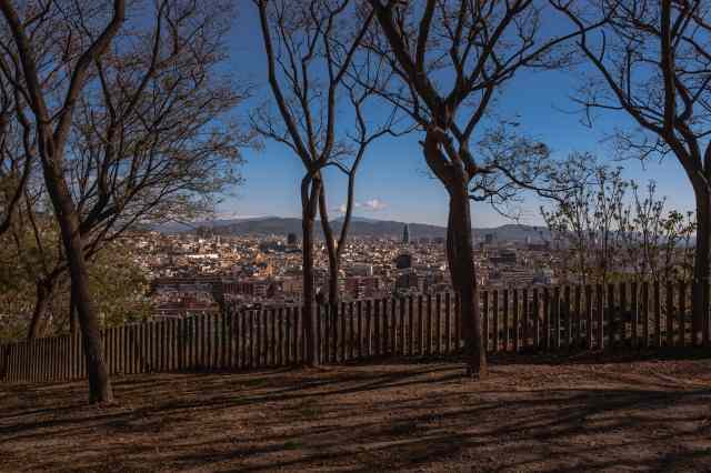 Unusual view of Barcelona city from M. J. Verdaguer's gardens.
