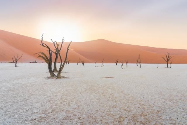 Deadvlei, Namibia