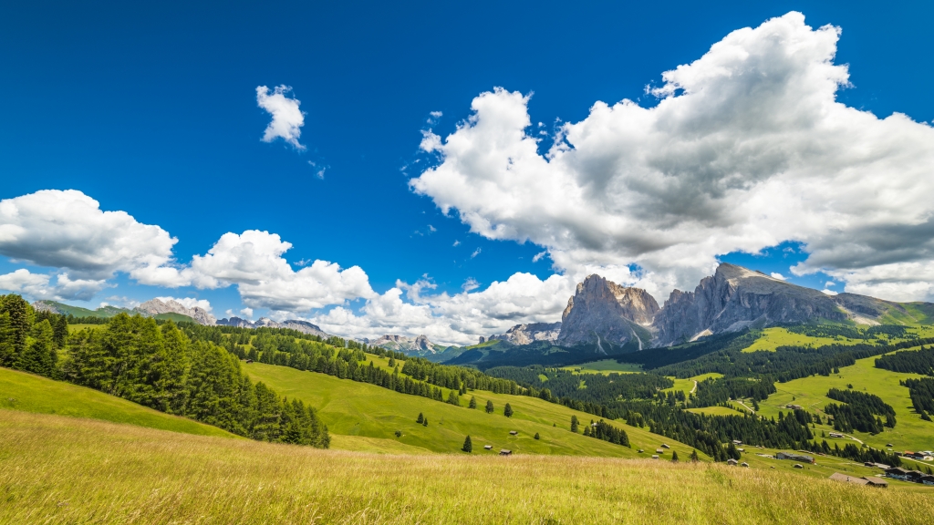Prati di alta montagna. Dolomiti.