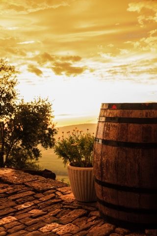 Botte di vino al tramonto