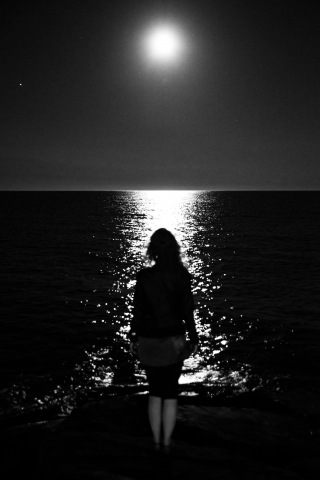 Al chiaro di luna · dandri