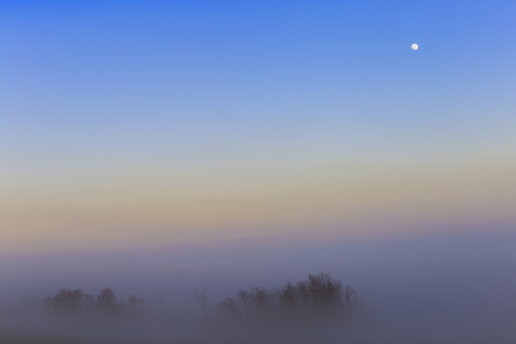 Over the fog