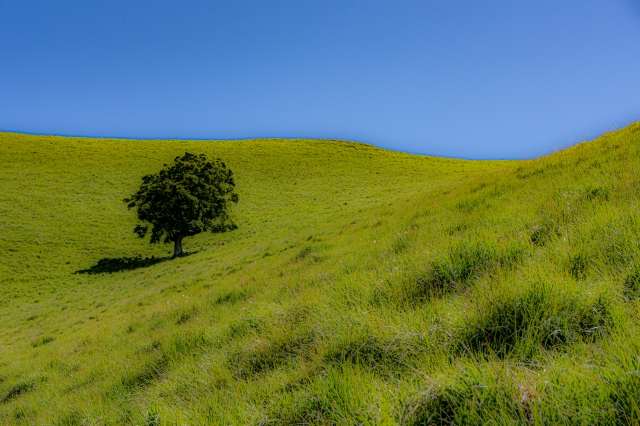 solitudine