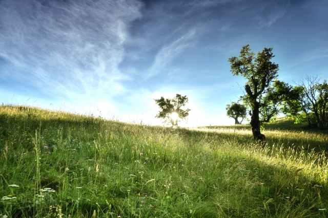 Raggi di sole