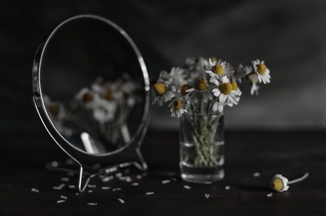 Chamomiles in a glass and a mirror