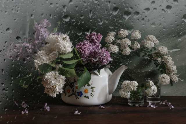 Bride with a lilac in a teapot