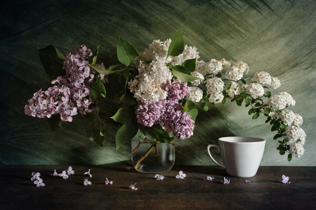 About lilac and spirea