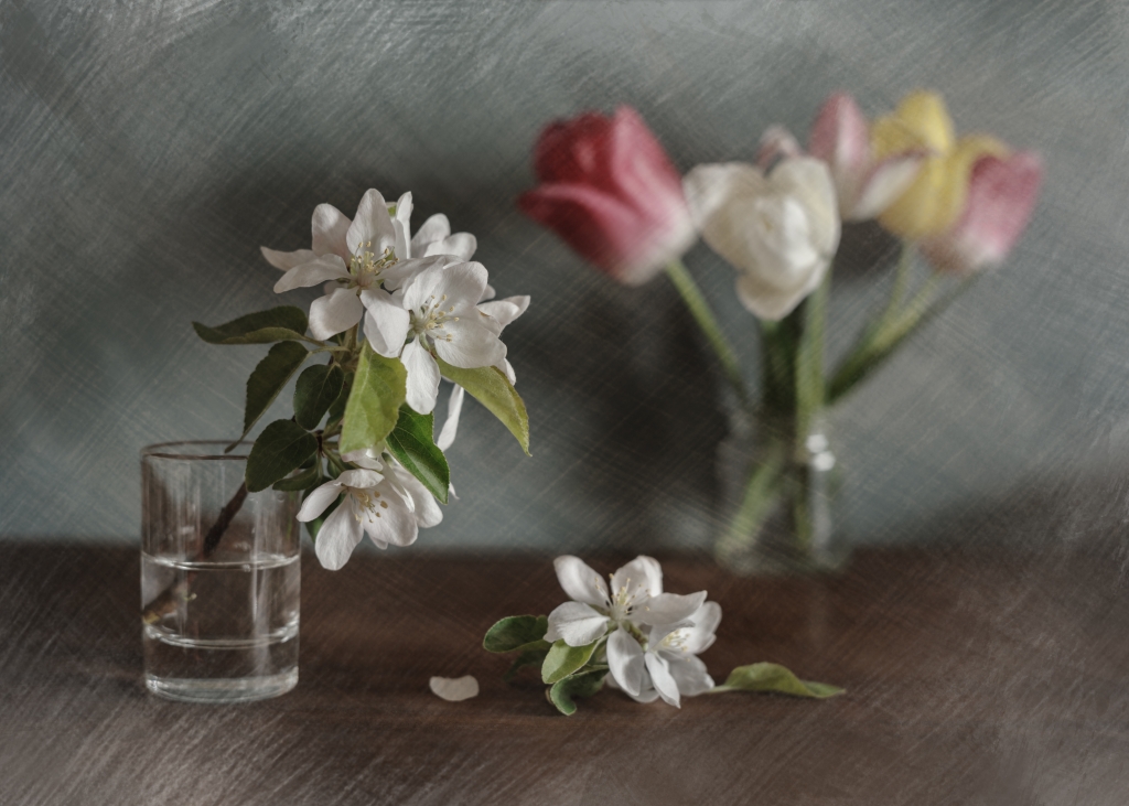 With tulips in the background