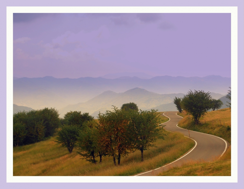 nel parco degli Elfi - strada casa del Romano monte Antola