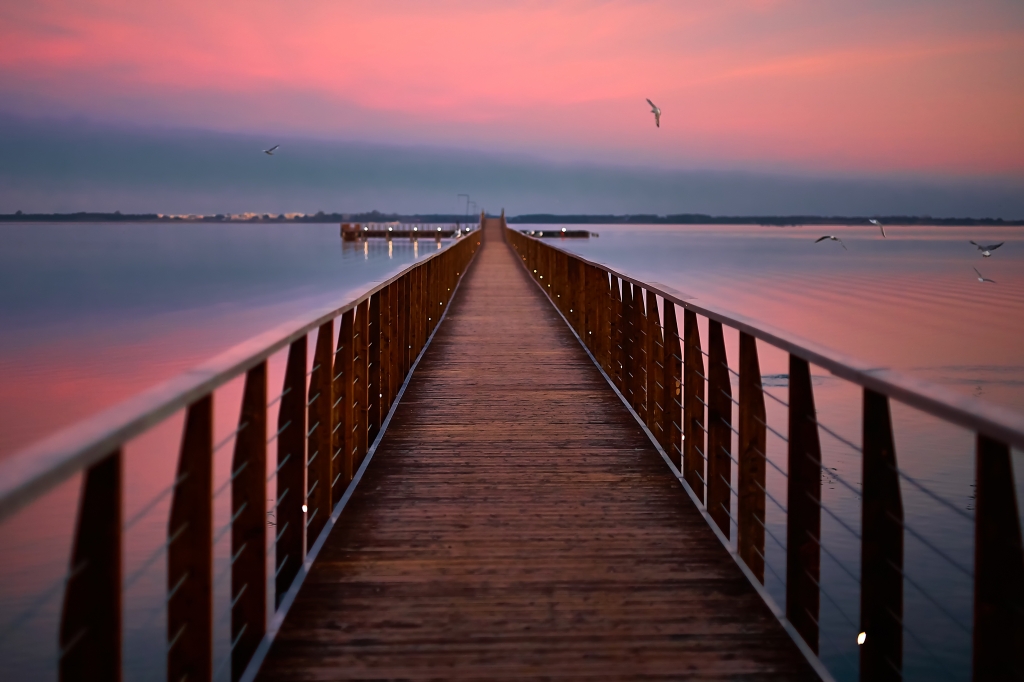 pontile di legno