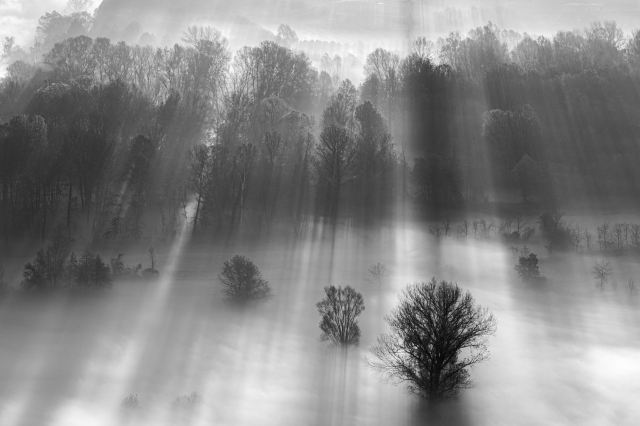 La luce tra gli ableri