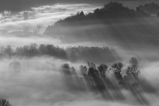 La luce tra gli ableri