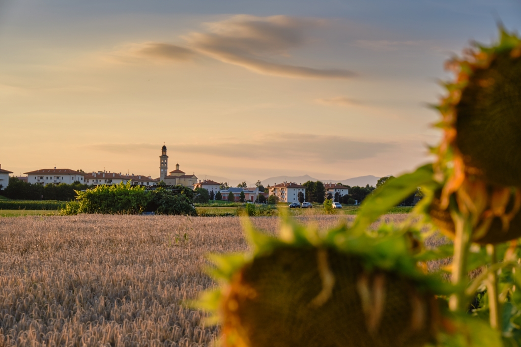 Paesaggio bucolico con cornice di girasoli