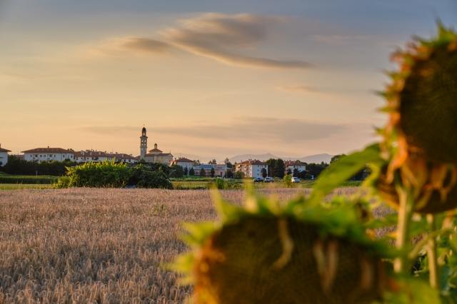 Paesaggio bucolico con cornice di girasoli