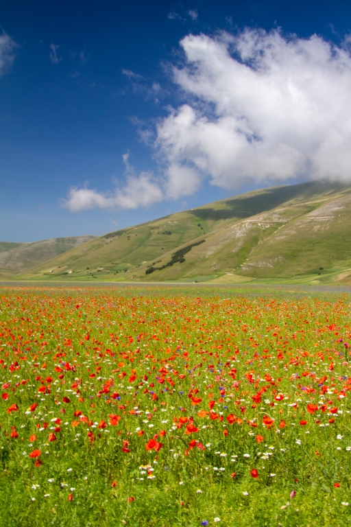 castelluccio di norcia