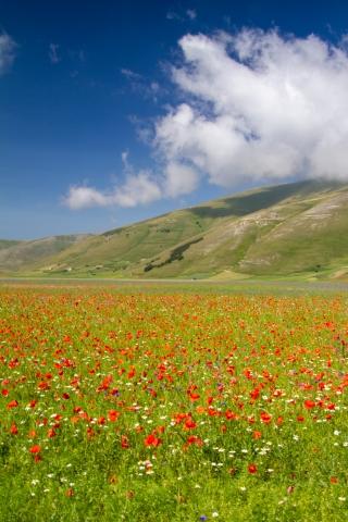 castelluccio di norcia