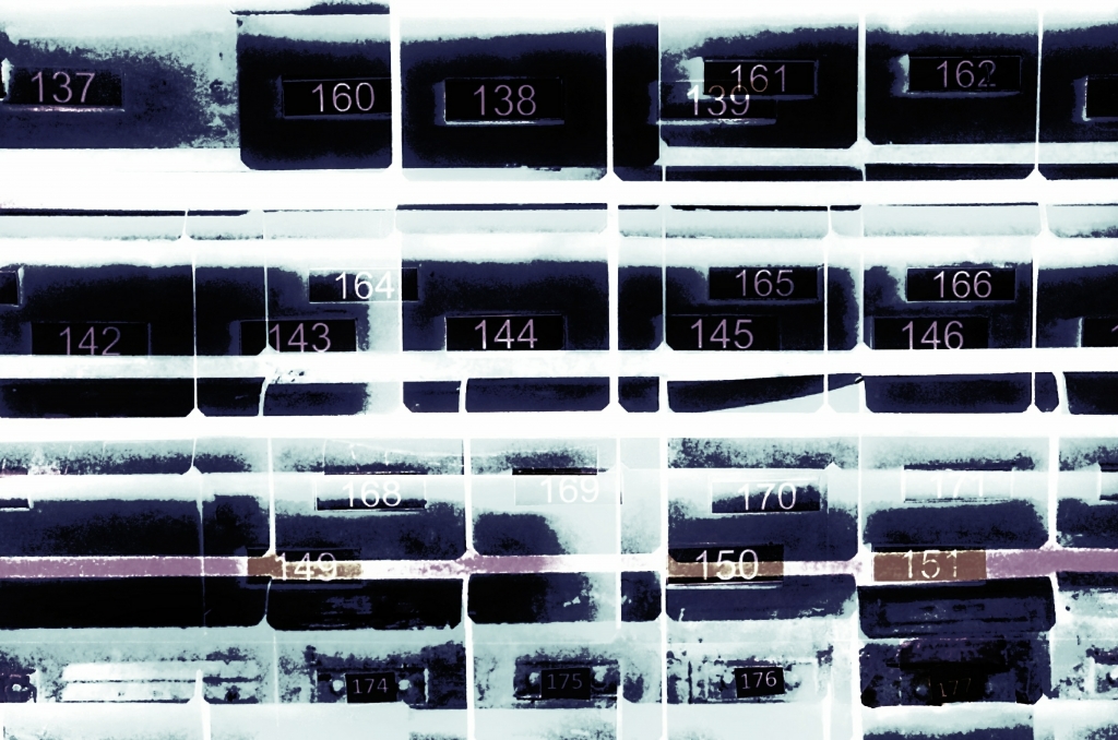 numbers rebellion