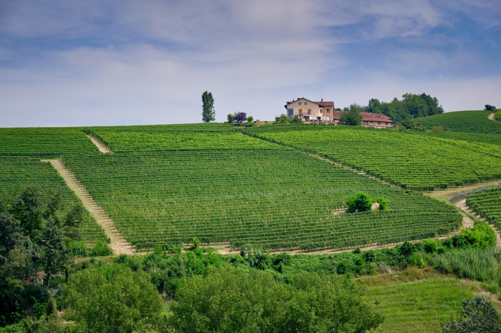 Colline delle Langhe