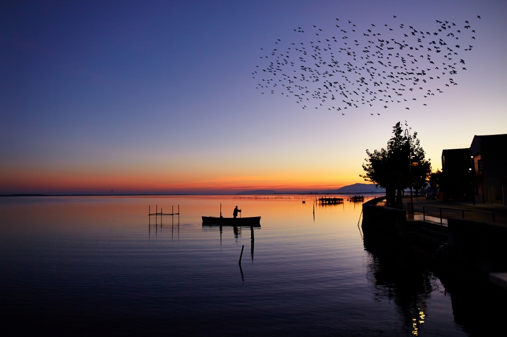 Il pescatore in controluce all'alba