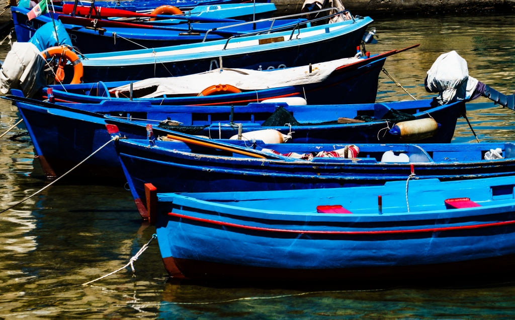 Barche di pescatori
