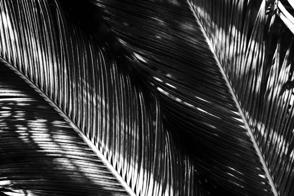 Ombra e luce
