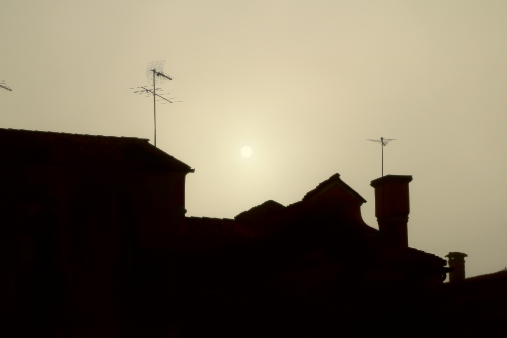 Una fitta nebbiolina