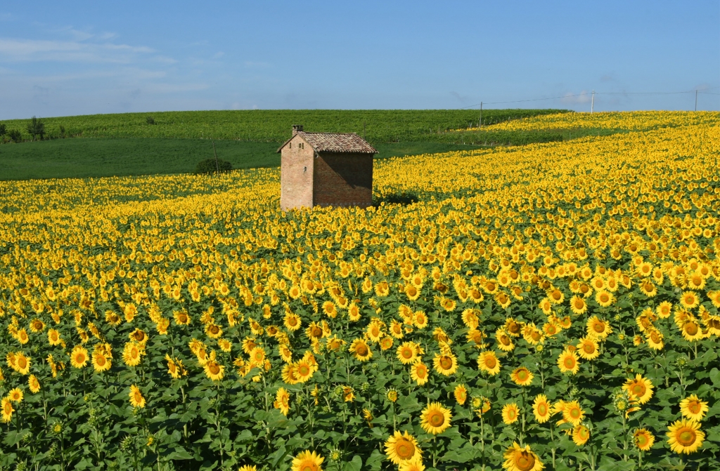 La casa fiorita