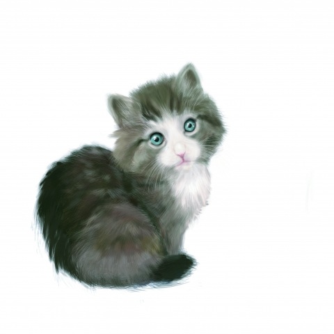 Animal portrait