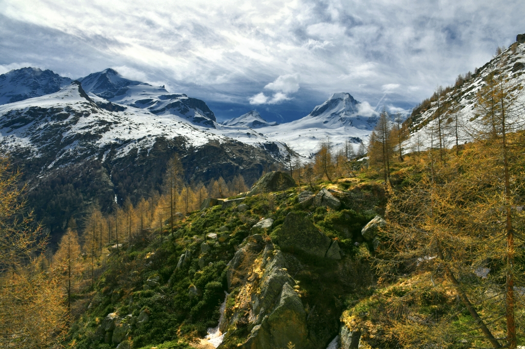 Gran Paradiso