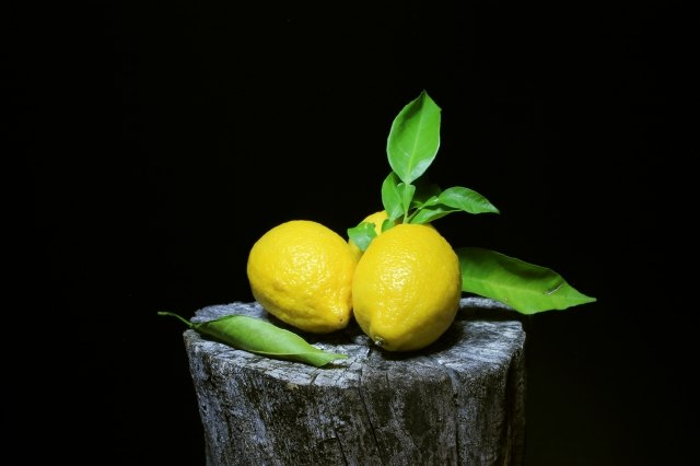 Natura morta Limoni su vecchio ceppo di legno  -Stil life lemons