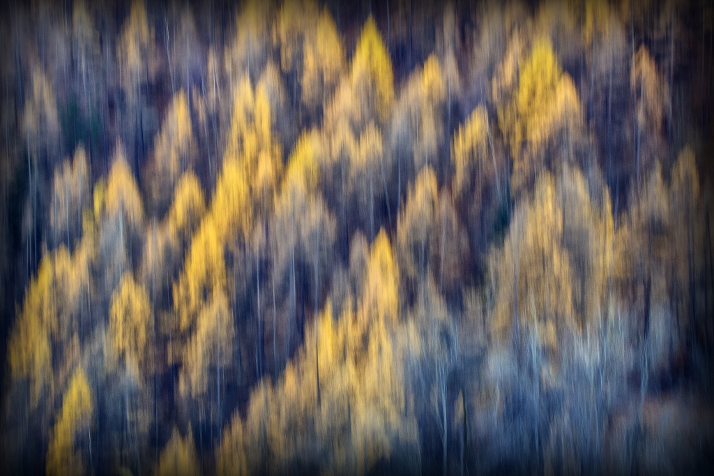 Alberi d'autunno
