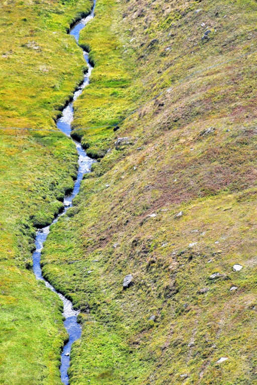 Curve naturali