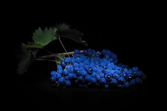 Uva,  nettare degli dei - Grapes, the nectar of the gods