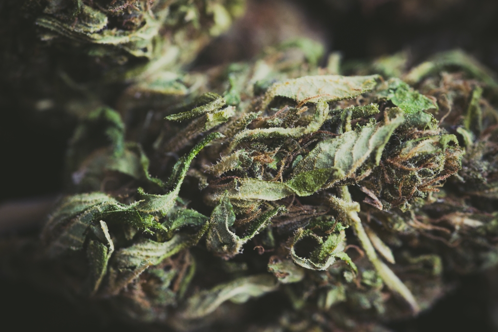 macro cime di cannabis