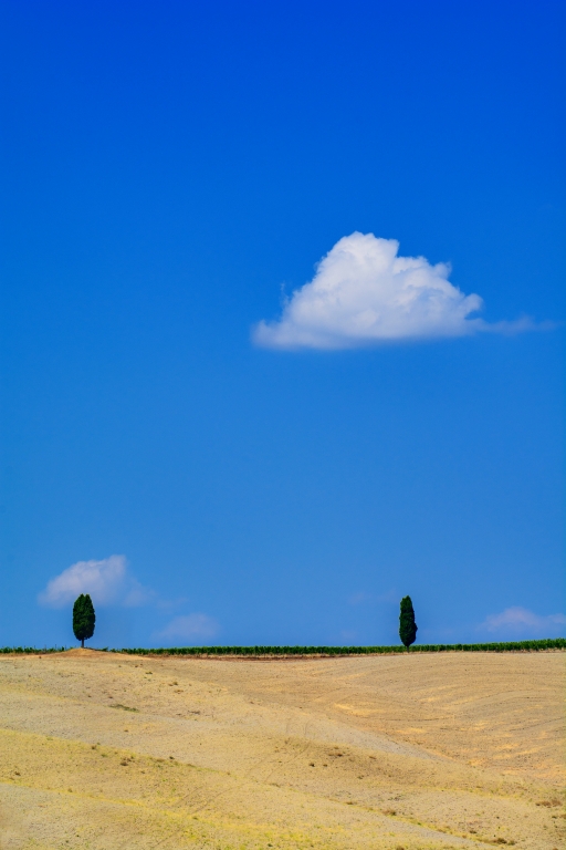 I cipressi in Val d'Orcia