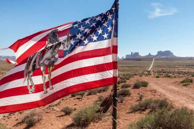 Banderia Navajo