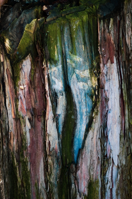legno colorato