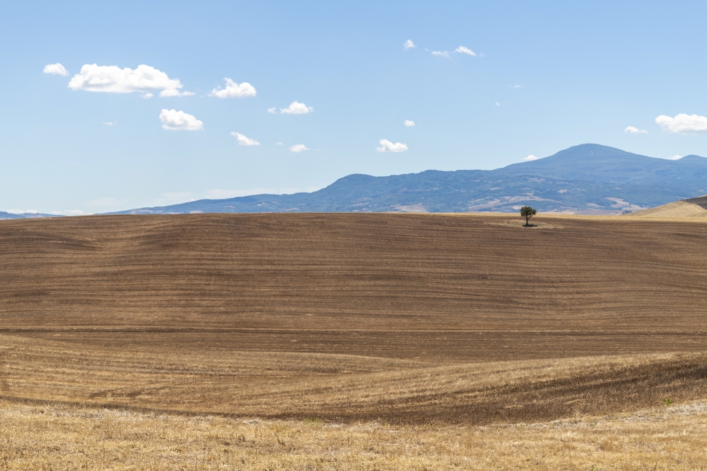Tipico paesaggio della Val D Orcia