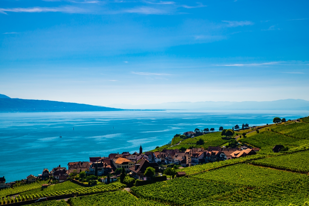 Vigneti sul Lago di Ginevra