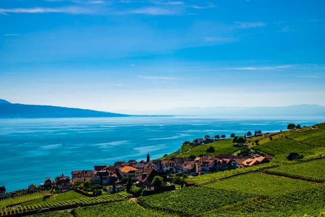 Vigneti sul Lago di Ginevra