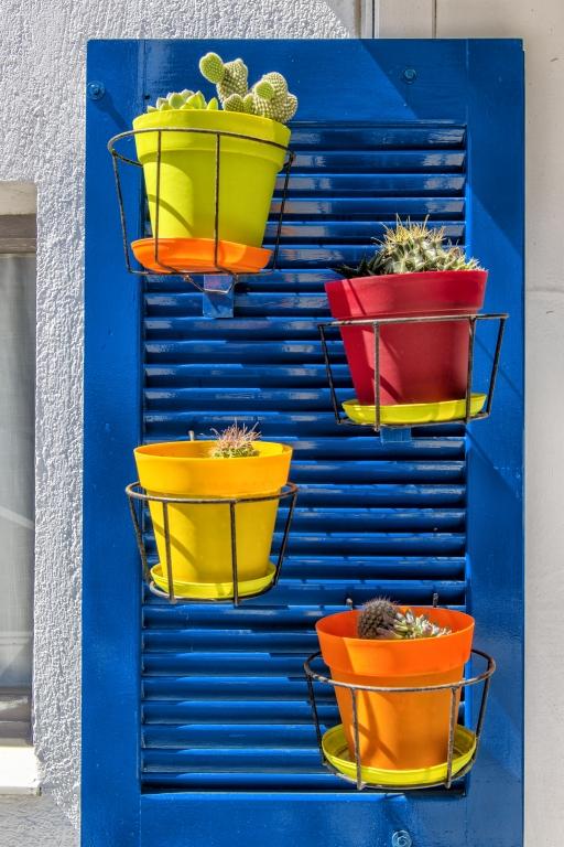 vasi di fiori colorati