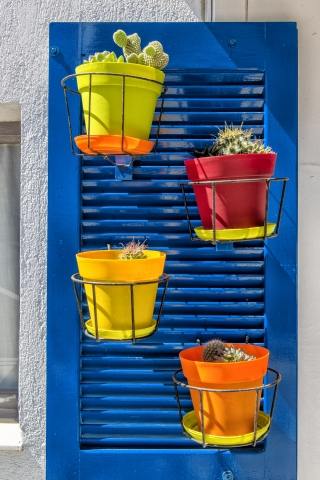 vasi di fiori colorati