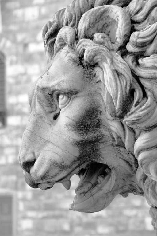 Statua del leone a Firenze